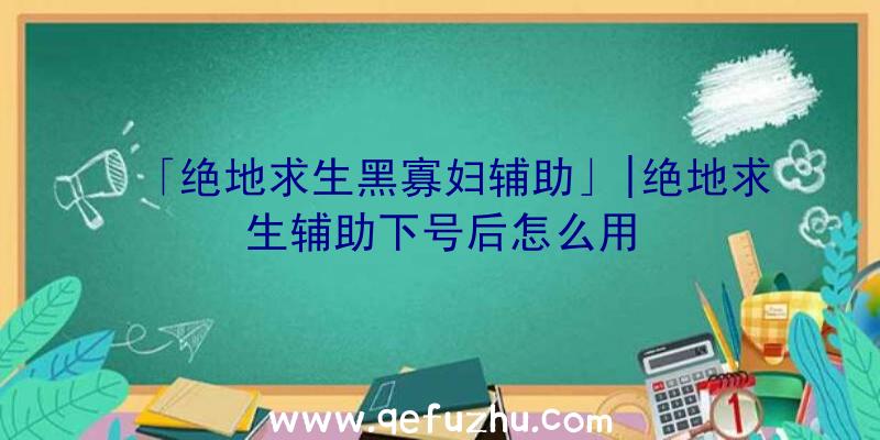 「绝地求生黑寡妇辅助」|绝地求生辅助下号后怎么用